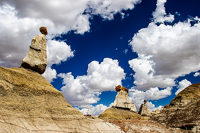 The Watchman & The King's Men