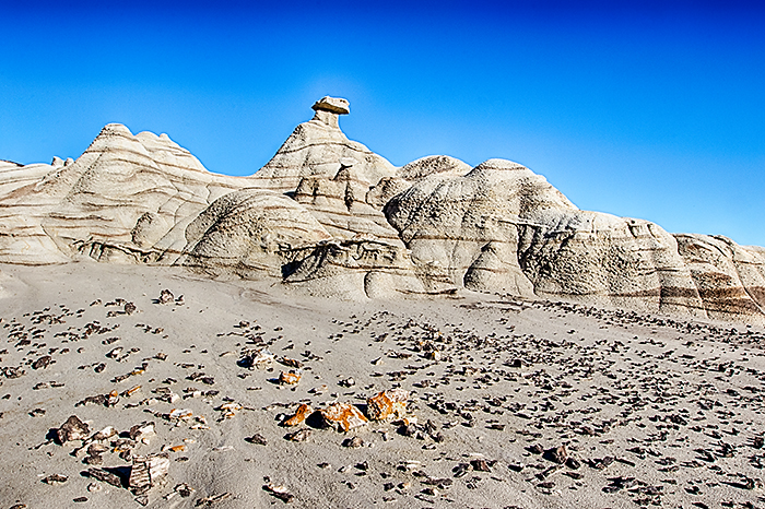 Bisti Wilderness