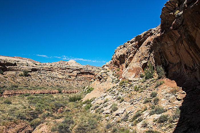 Trail to Wolfman Panel