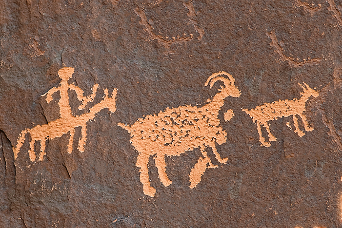 Rider & Bighorn Sheep