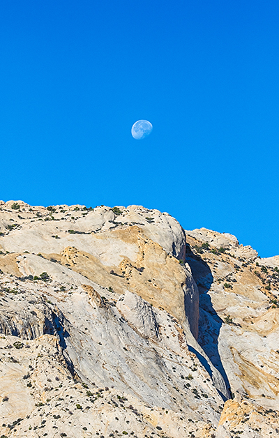 Moonset Over the Swell