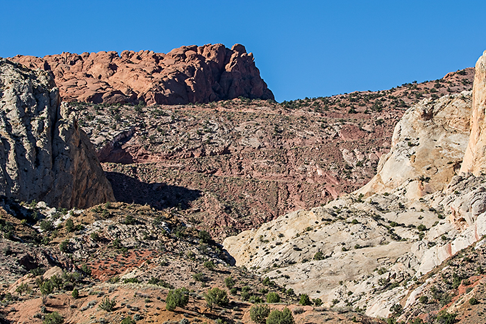 Can You Find the Road?