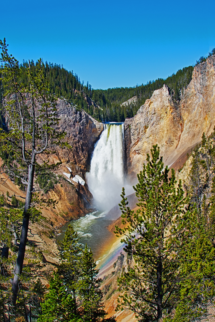 Lower Yellowstone Falls