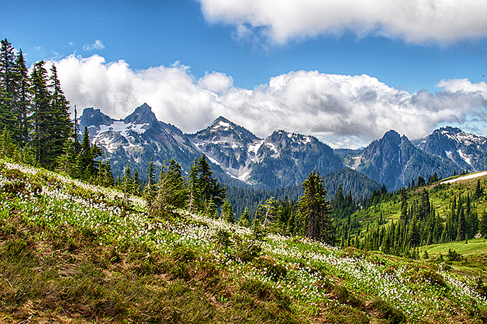 Tatoosh Range