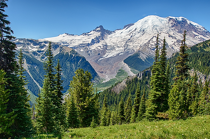 Emmons Glacier