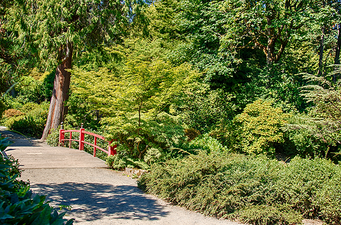 Kubota Garden