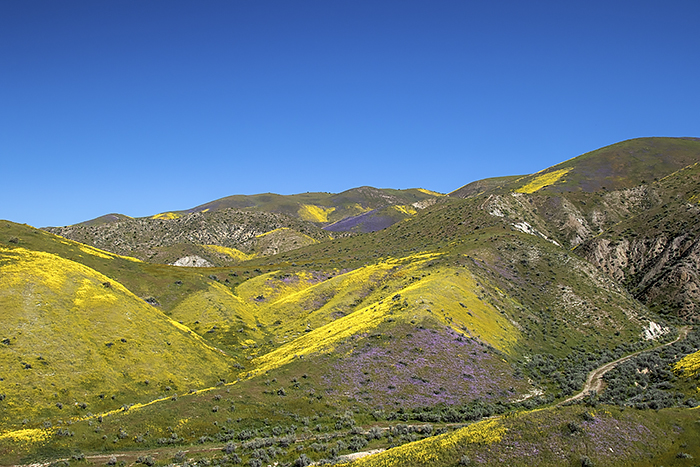 Ridge Above Elkhorn Road