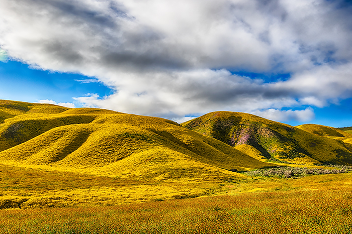 Hills Surrounding Highway 58