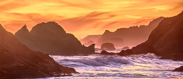 Harris Beach