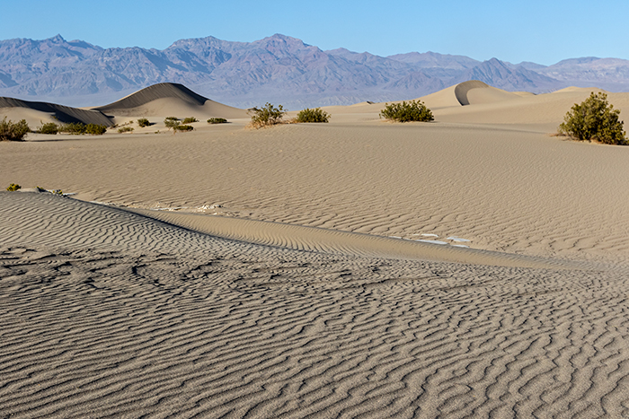 Mesquite Flats Dunes Mesquite Flats Dunes