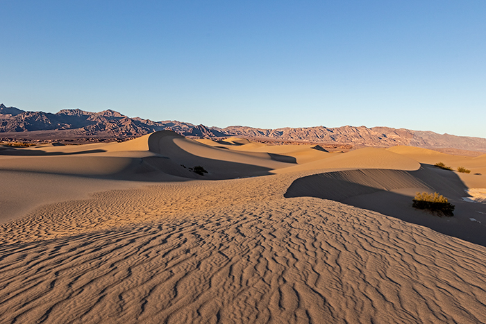 Mesquite Flat Sand Dunes