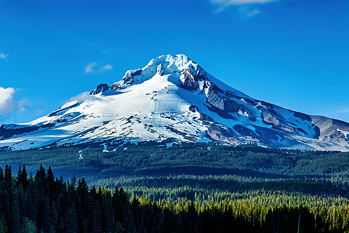 Mt. Hood