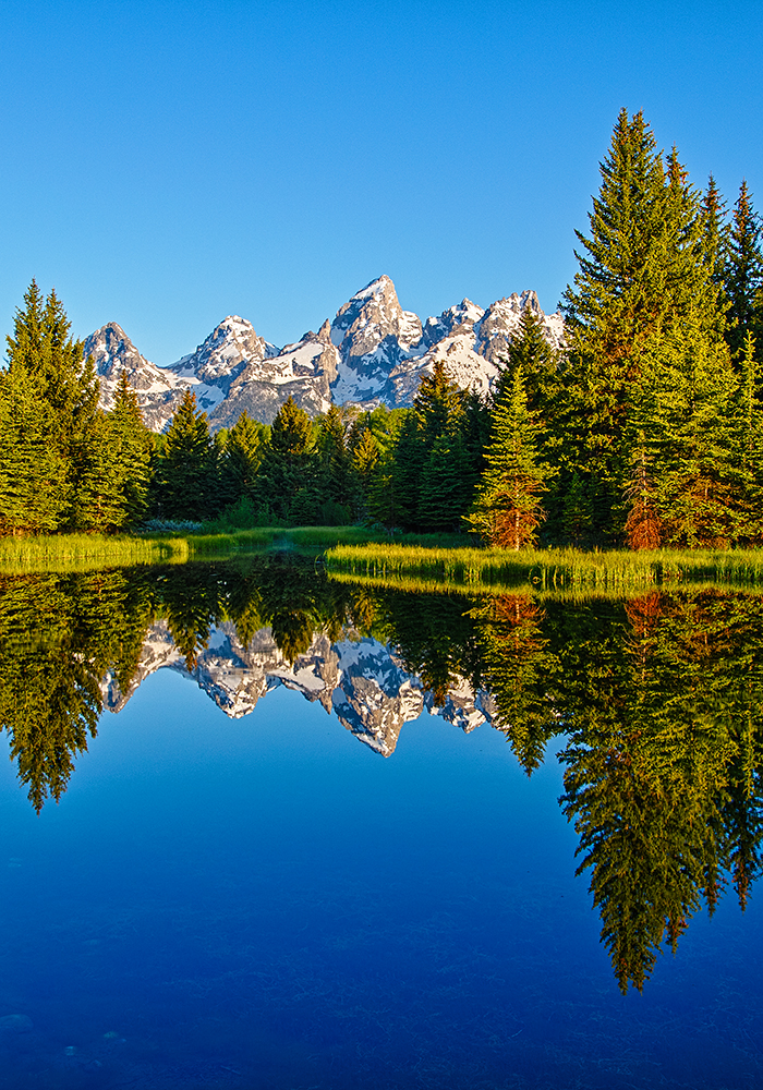 Schwabacher Landing